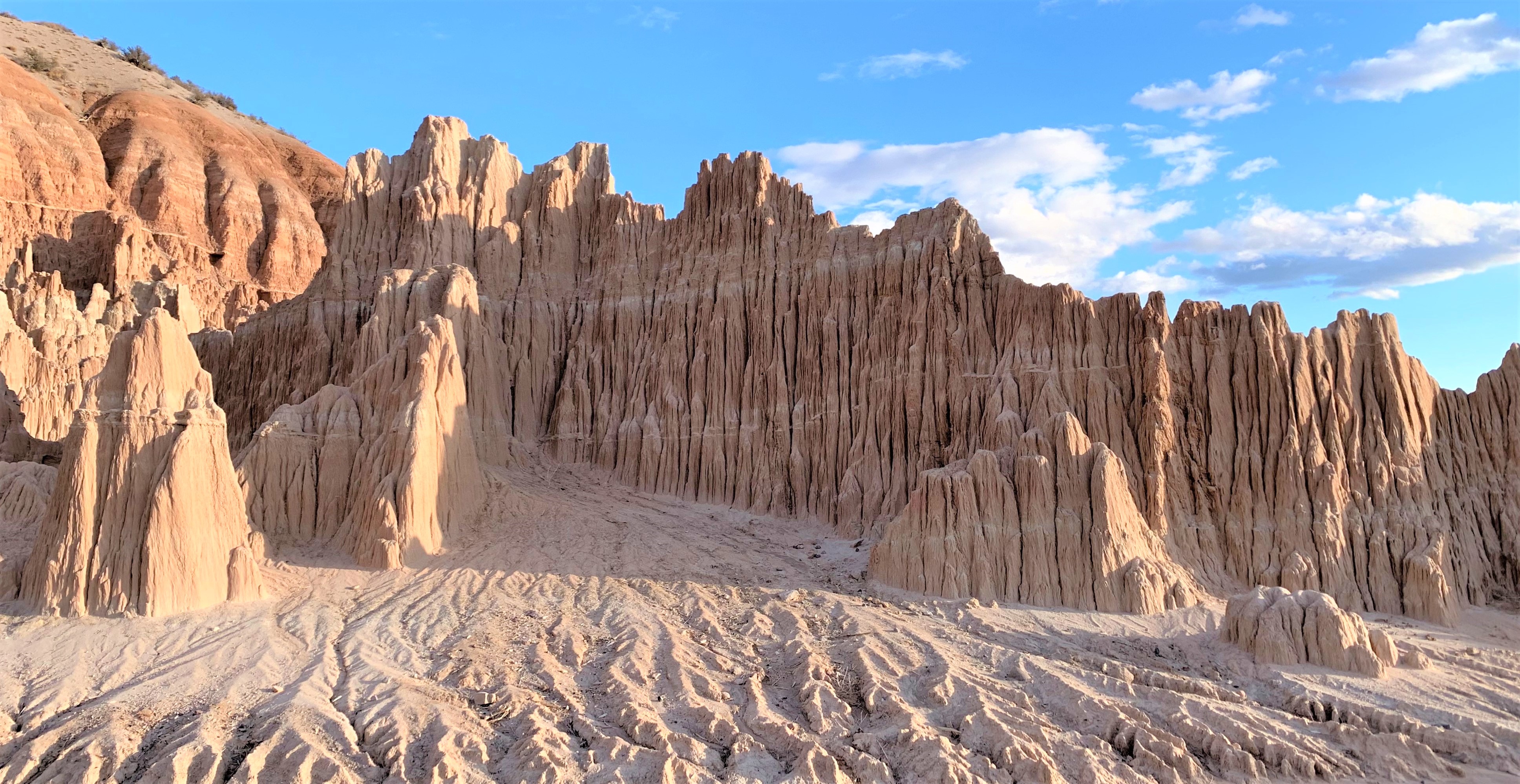 Nevada